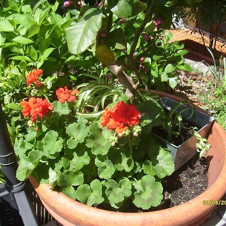 Apartament House Yanina Bellano Zewnętrze zdjęcie