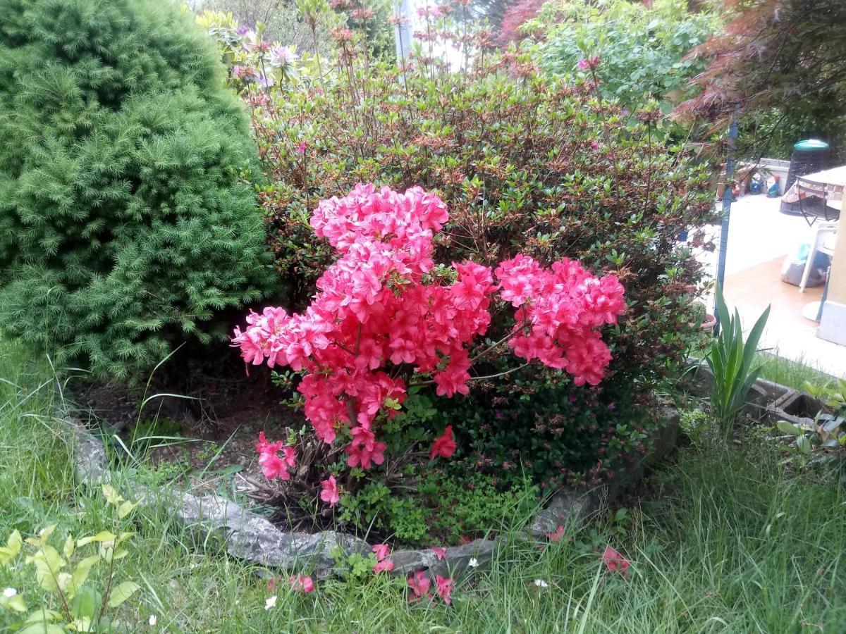 Apartament House Yanina Bellano Zewnętrze zdjęcie